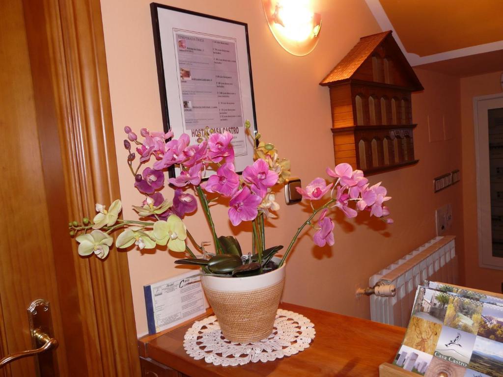 Hostal Rural Casa Castro Alberuela de la Liena Ngoại thất bức ảnh