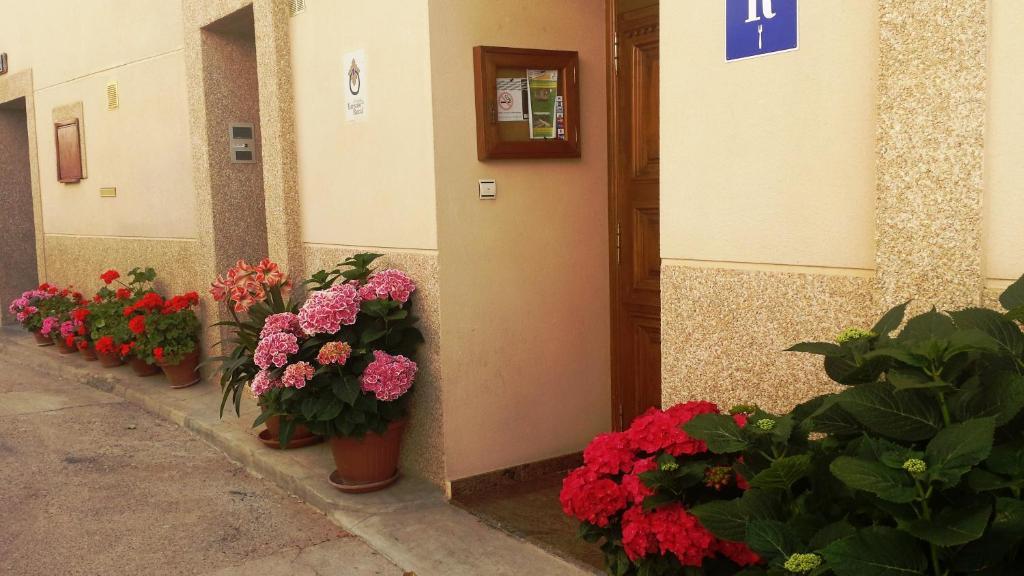 Hostal Rural Casa Castro Alberuela de la Liena Ngoại thất bức ảnh